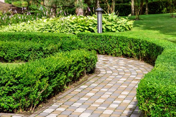 Paved Landscaping in Yorba Linda