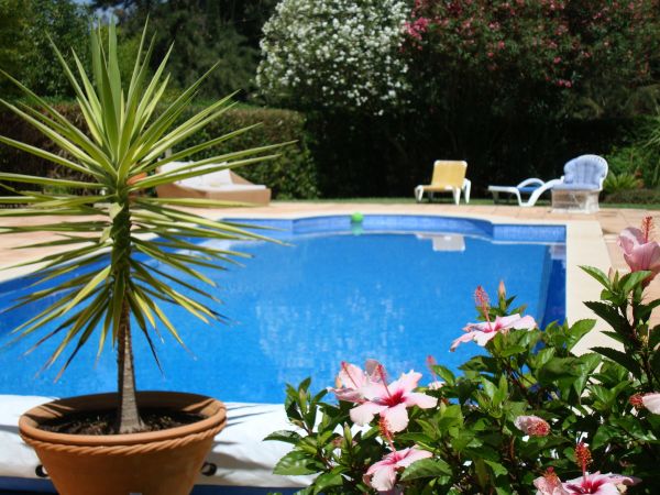 Pool Terrace Renovation in Yorba Linda